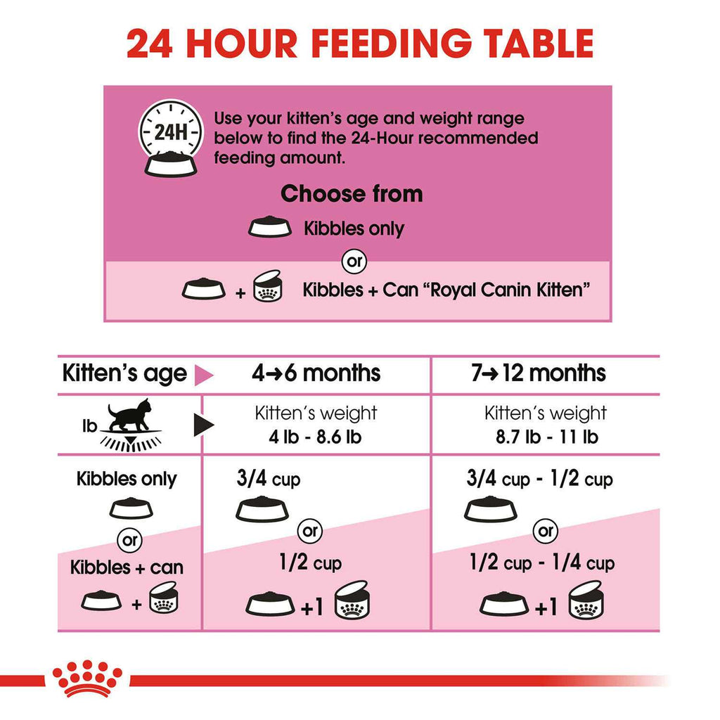 Kitten Dry Food K48624