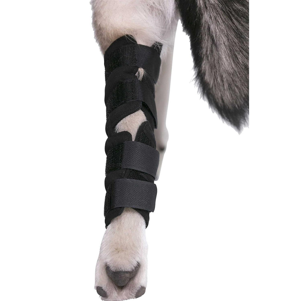 Dog Hock Brace Rear Leg Joint Wrap D644