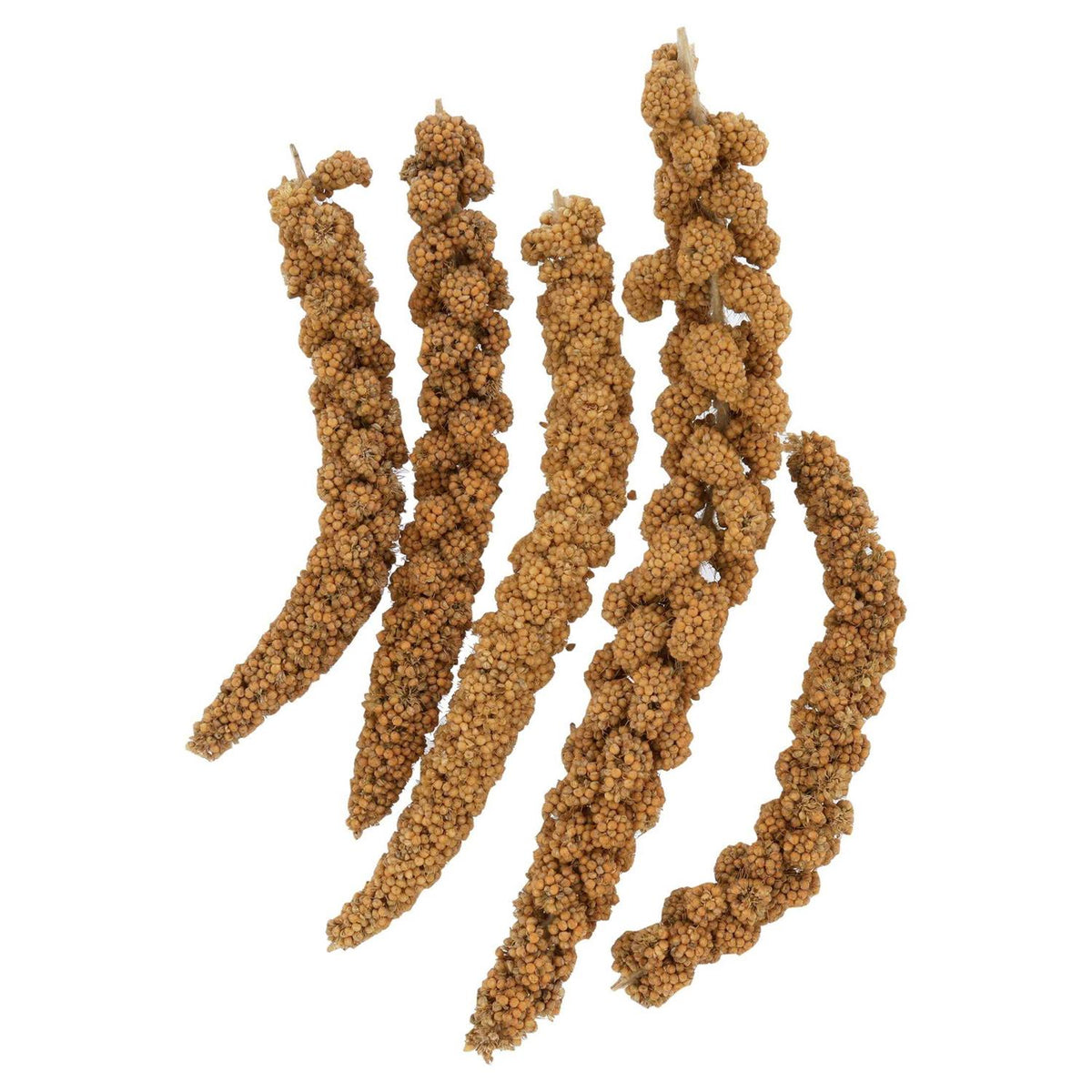 Millet Spray 16 oz C8529
