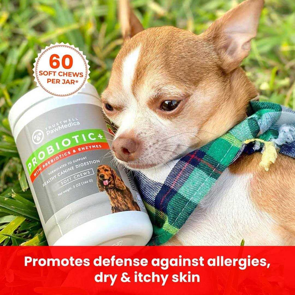 Dog Probiotics and Digestive Enzymes X4036