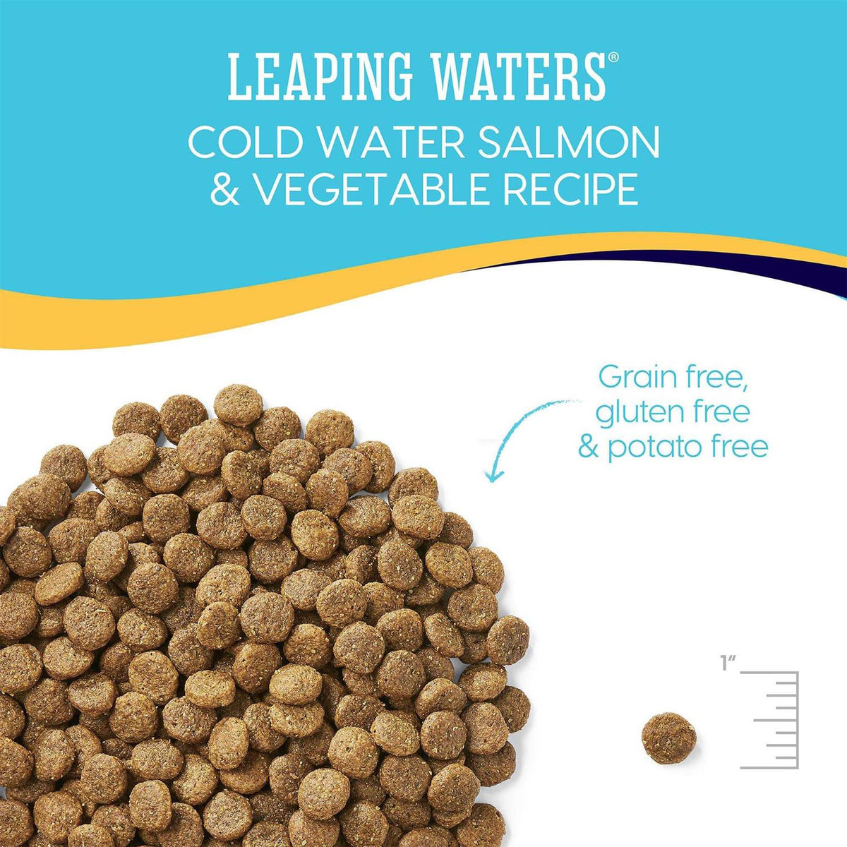 Solid Gold Leaping Waters Cold Water Salmon Dry Dog Food D754606