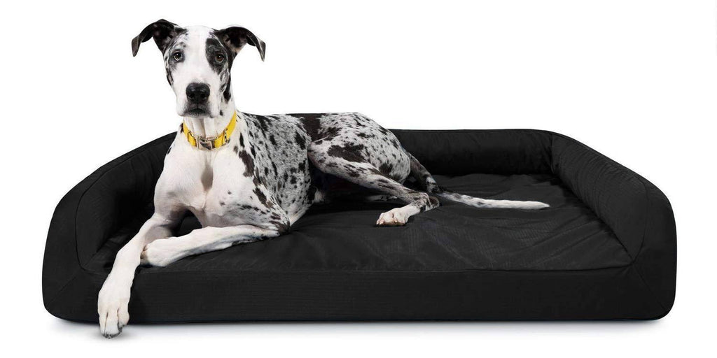 Black X-Large Orthopedic Dog Bed C90701