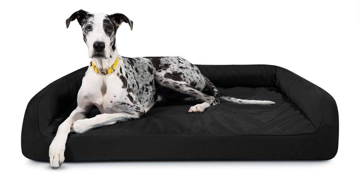 Black X-Large Orthopedic Dog Bed C90701