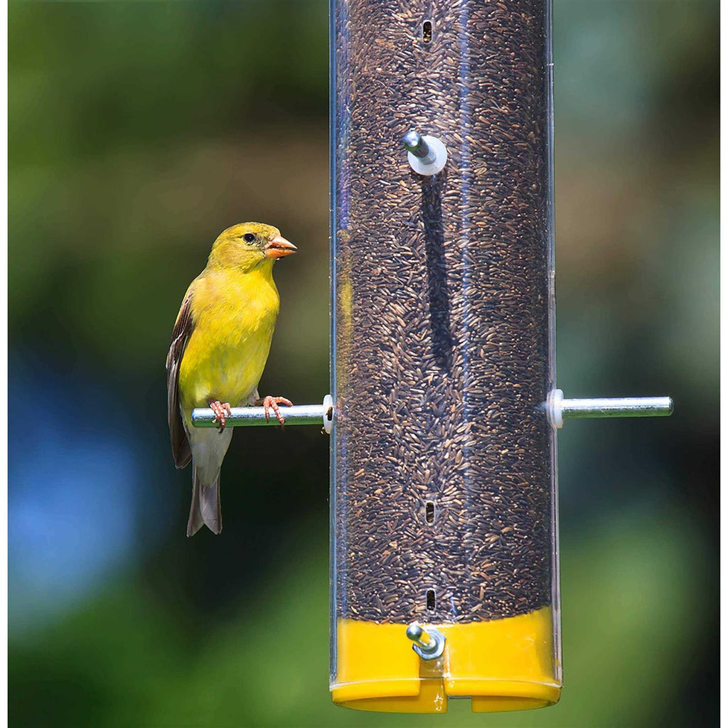 Nyjer Seed Wild Bird Food G5179