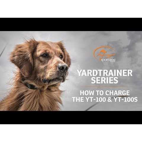 Dog Training Collar F332