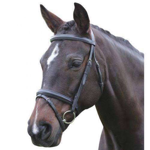 Black Padded Flash Bridle X664