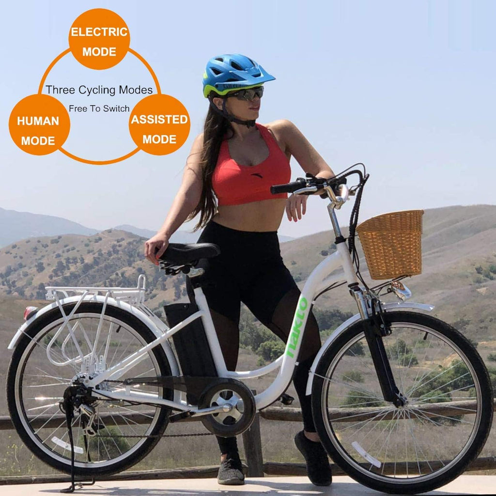 26 250W Cargo Electric Bicycle with Removable 36V10A Lithium Battery R640