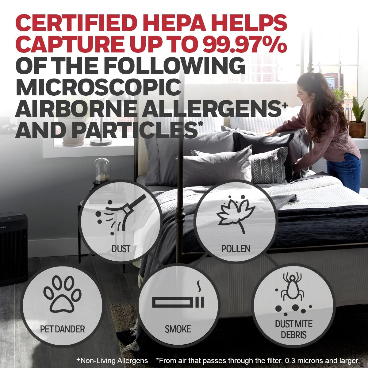 Air Purifier HEPA Filter 360 sq ft F259256
