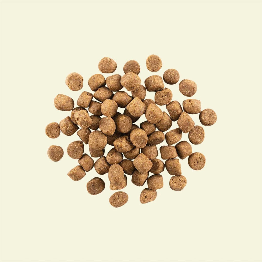 Grain-Free Small Breed Puppy Dry Dog Food E9746