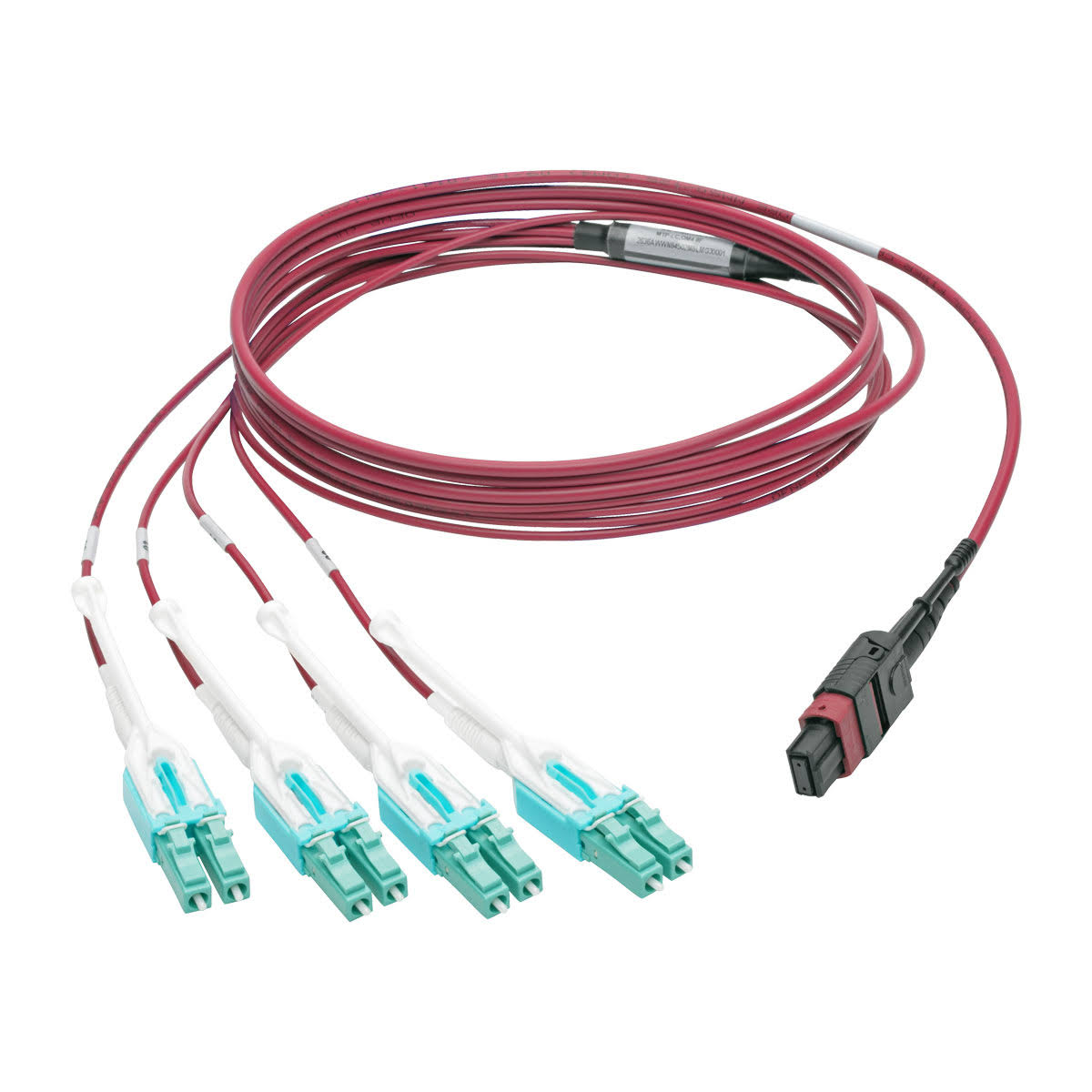 OM4 Fiber Optic Patch Cable 3.3 ft Magenta K584764