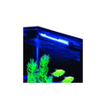 Blue LED Light J778