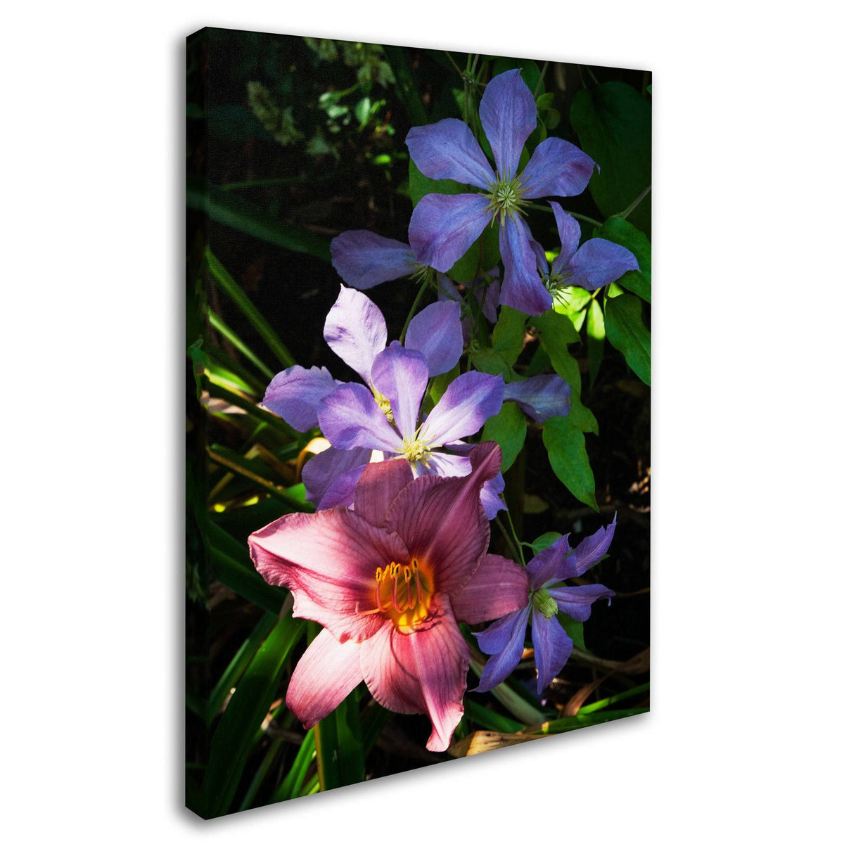 Canvas Art I213